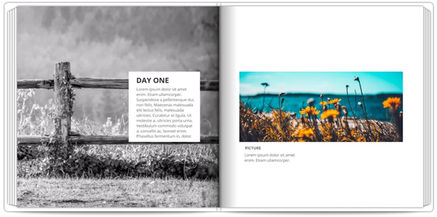 Photo Story