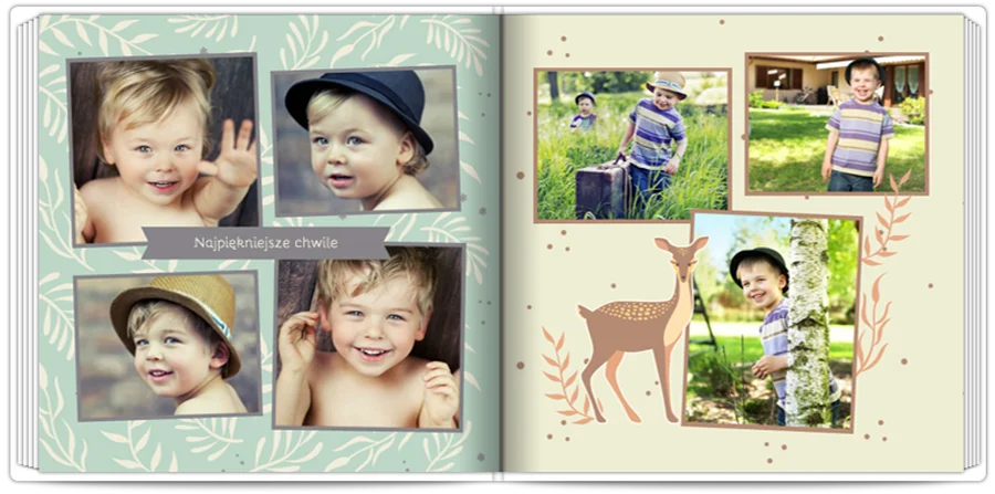 Woodland Story