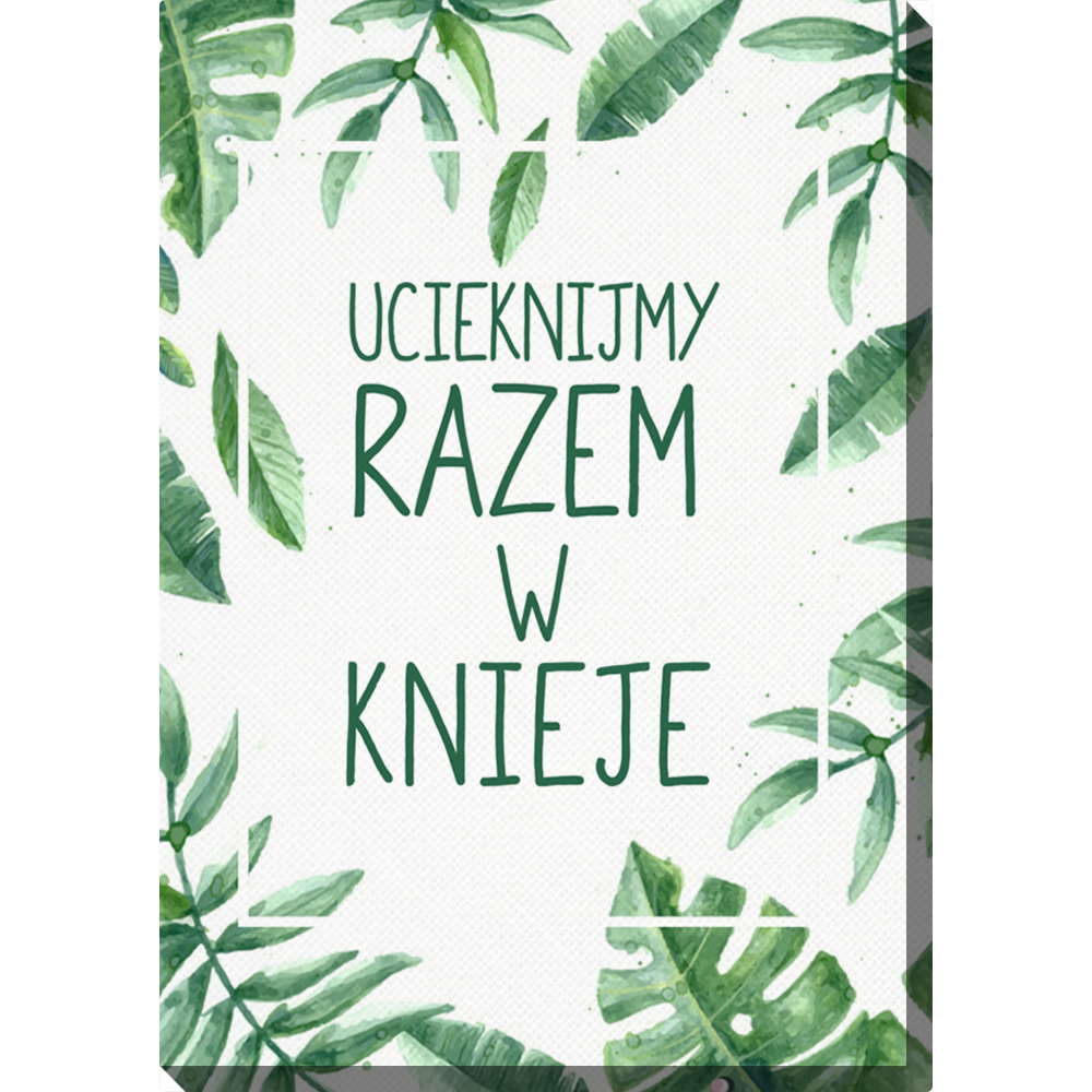 Obraz 30x40 cm - Knieje