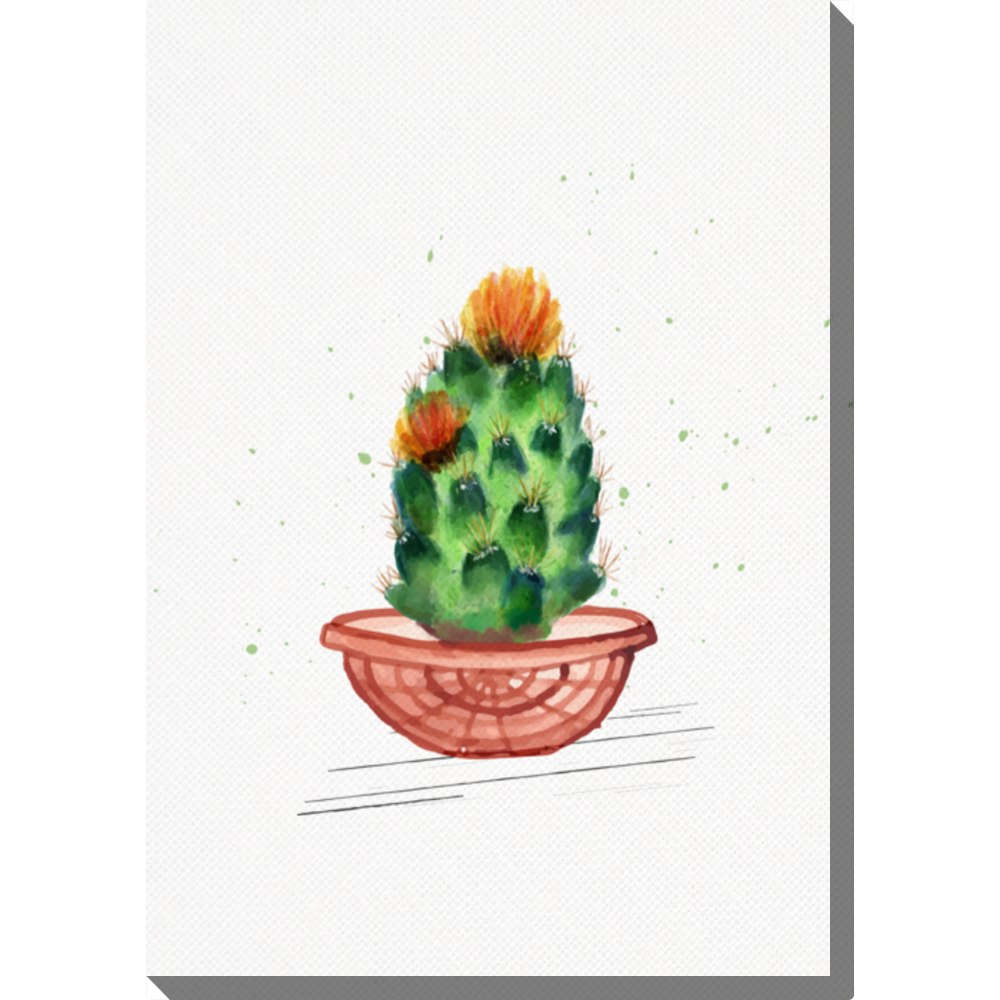 Obraz 30x40 cm - Malowany kaktus