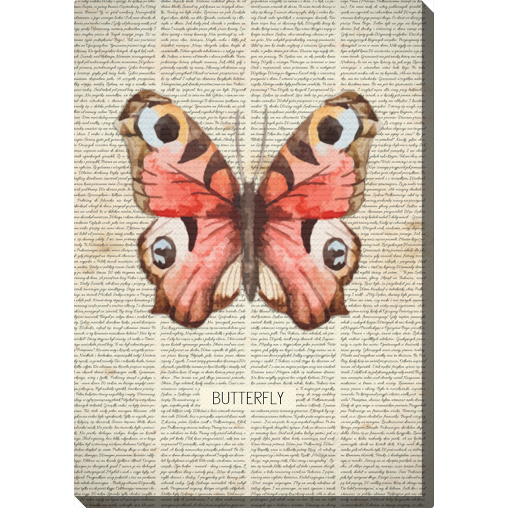 Obraz 30x40 cm - Motyl książkowy