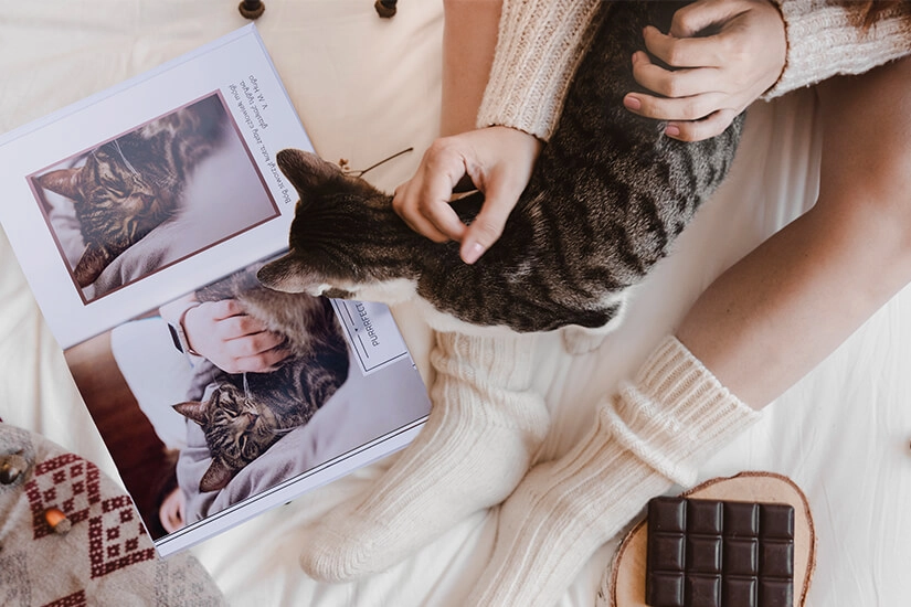 książka z fotografiami kota